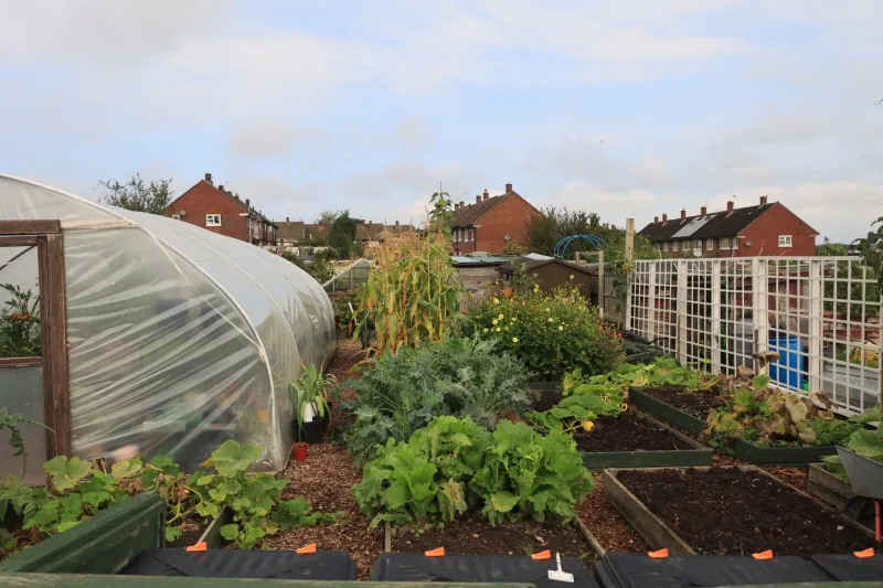 From Empty Lots to Living Rooms: How Community Gardens Are Quietly Rebuilding America